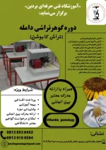 آموزش گوهرتراشی در اصفهان